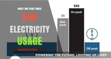 Electricity Usage: Peak Times and Their Impact