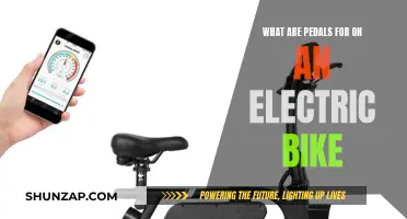 Pedal Power: Electric Bikes and Their Pedal Purpose