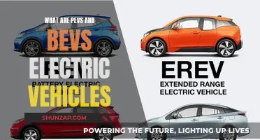 Unveiling PEVs and BEVs: The Electric Vehicle Revolution