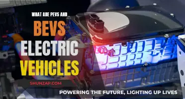 PEVs and BEVs: Understanding Electric Vehicle Types