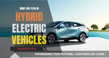 Plug-in Hybrid Electric Vehicles: The Future of Driving?