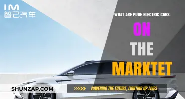 Exploring the Top Pure Electric Cars Available on the Market Today