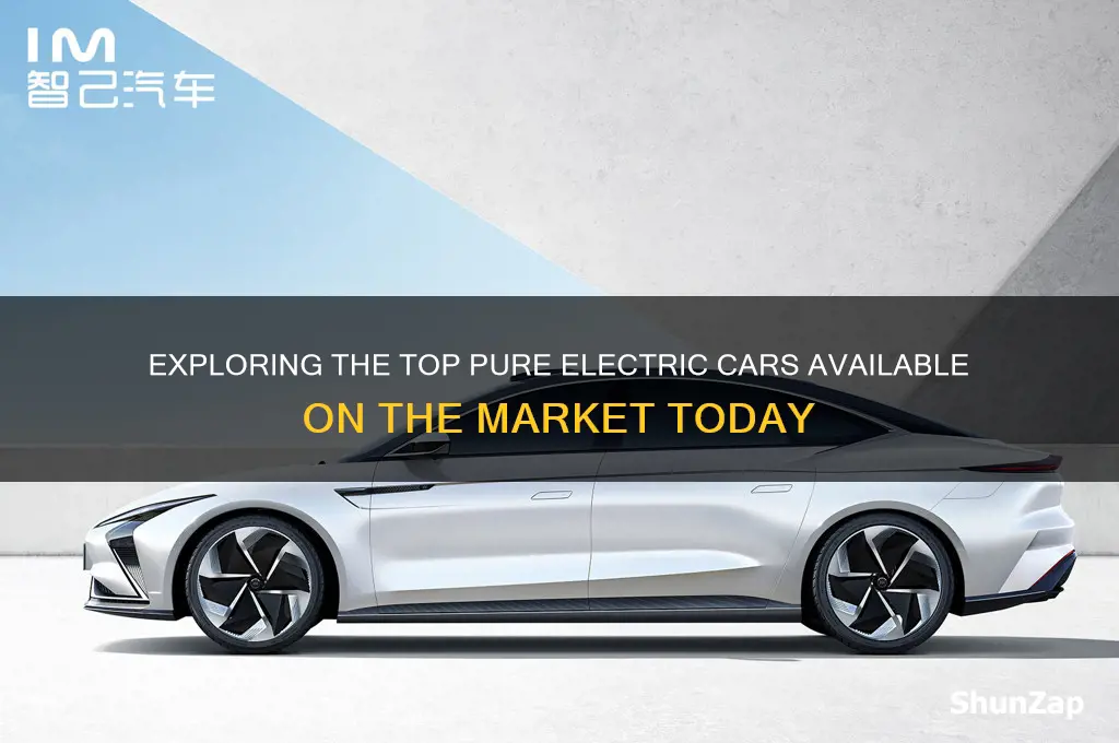 what are pure electric cars on the marktet