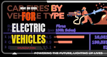 Unveiling the Risks: Navigating Challenges in Electric Vehicle Ownership