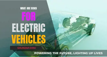 Electric Vehicles: Risks, Rewards, and the Future