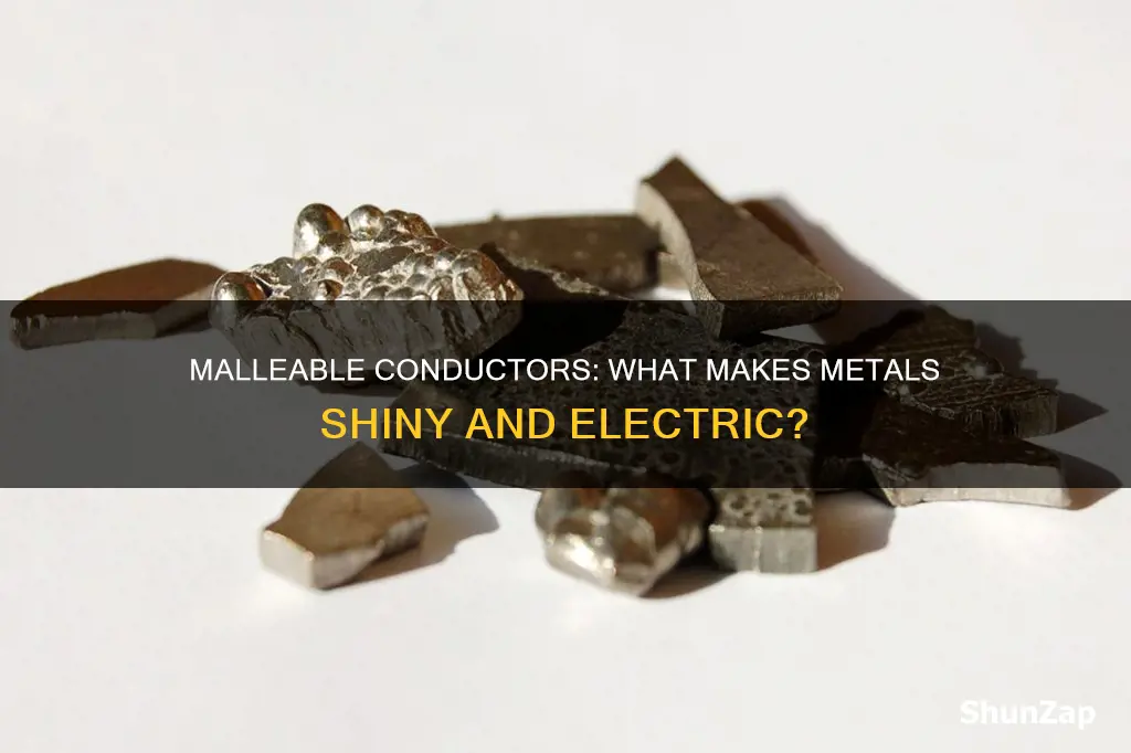 what are shiny malleable conductors of electricity