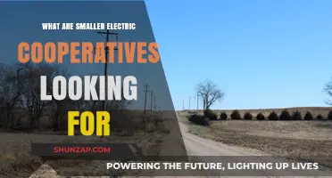 Electric Co-ops: What Are Their Priorities?