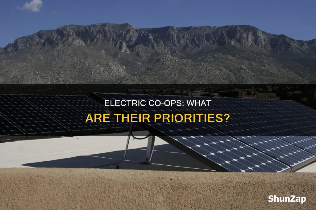 what are smaller electric cooperatives looking for