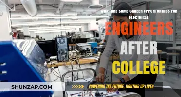 Exciting Career Paths for Electrical Engineering Graduates Post-College