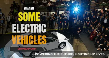 Electric Cars: Exploring the Top EV Options Today