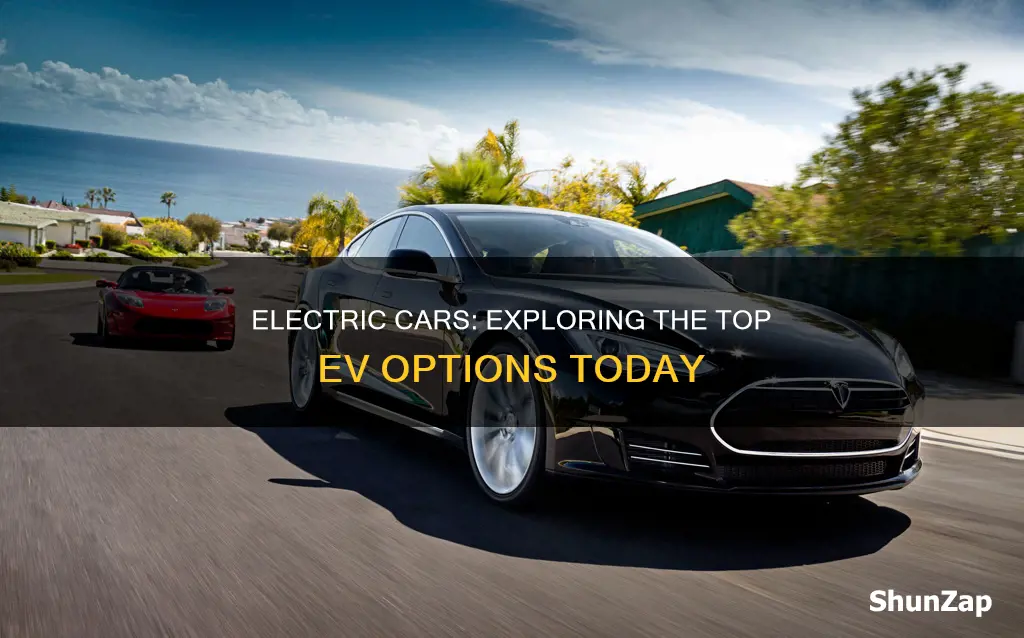 what are some electric vehicles