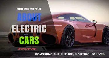 Discover Surprising Facts About Electric Cars and Their Impact