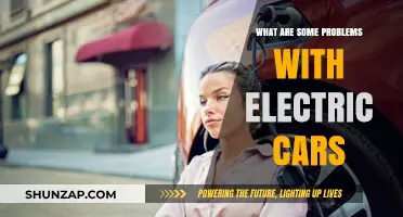 Electric Cars: Uncovering Common Challenges and Potential Pitfalls