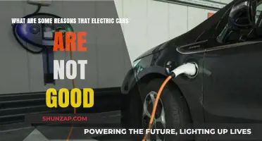 Why Electric Cars May Not Be the Perfect Choice Yet