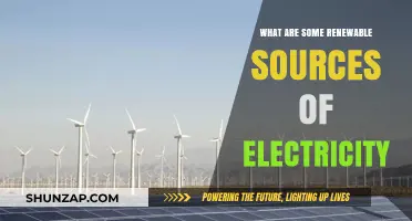 Exploring Renewable Electricity Sources for a Sustainable Future