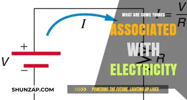 Electricity's Core: Circuits, Conductors, and More