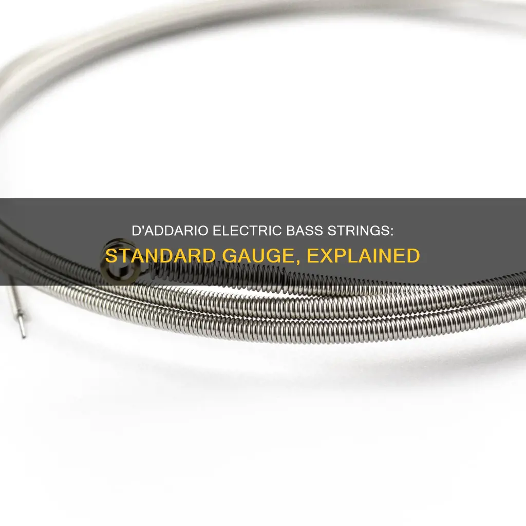 what are standard electric bass strings daddario