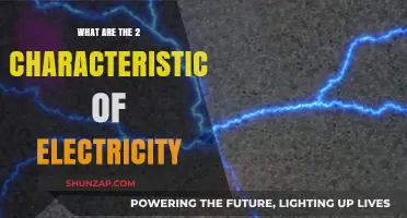 Electricity's Intrinsic Nature: Two Defining Characteristics