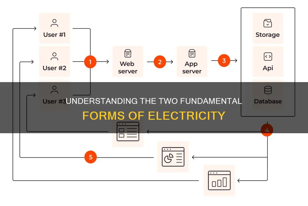 what are the 2 forms of electricity