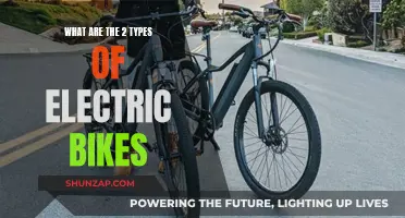 Electric Bike Options: Understanding the Two Distinct Types