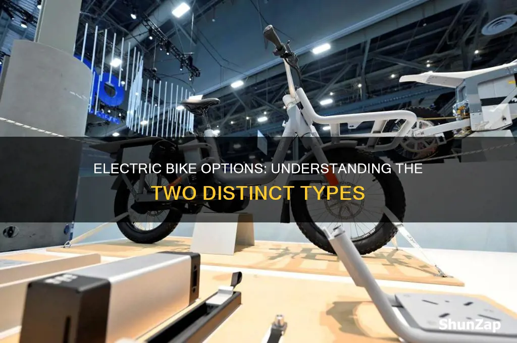 what are the 2 types of electric bikes