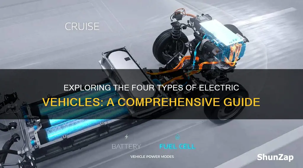 what are the 4 types of electric vehicles