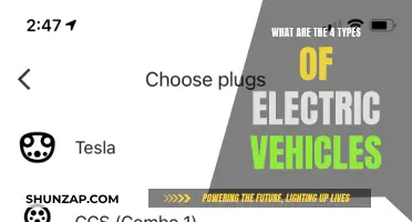 Electric Cars, Four Ways: Understanding EV Diversity