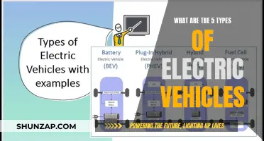 Exploring the Electric Spectrum: 5 Types of EVs