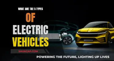 Electric Vehicles: 5 Distinct Types Revolutionizing the Roads
