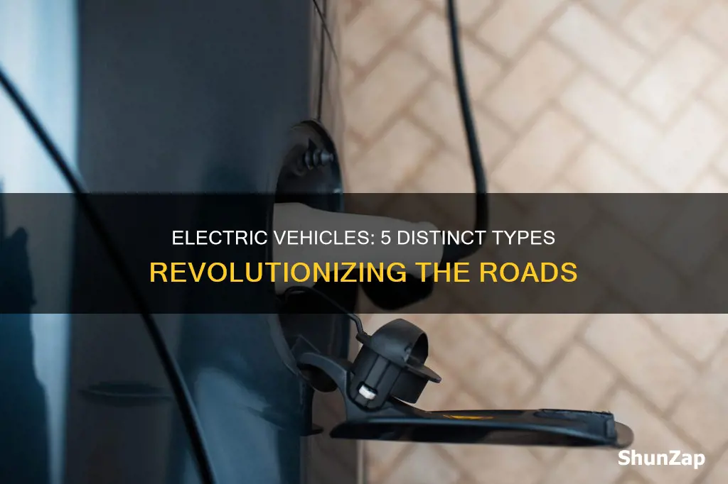 what are the 5 types of electric vehicles
