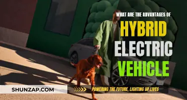 Hybrid Electric Vehicles: Greener, Efficient, and Cost-Effective