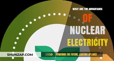 Nuclear Power: Benefits of a Clean Energy Source