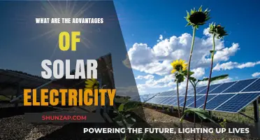 Solar Power: Green Energy, Bright Future