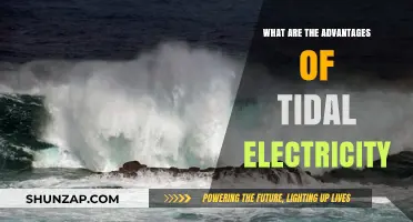 Tidal Power: Green, Reliable, and Endless Energy Source