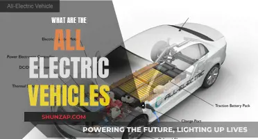 Exploring the World of All-Electric Vehicles: Powering a Sustainable Future