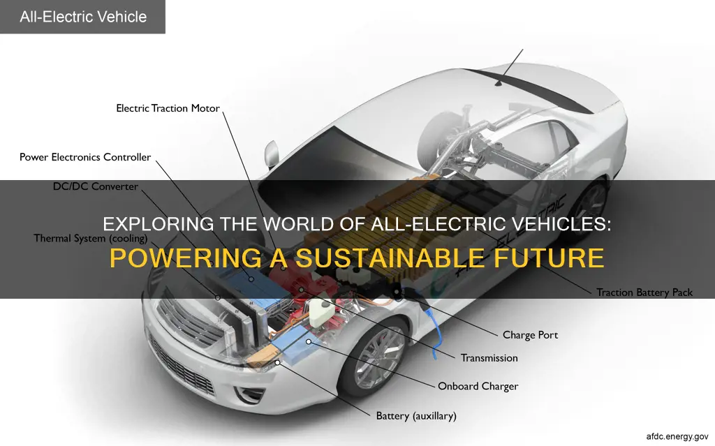 what are the all electric vehicles