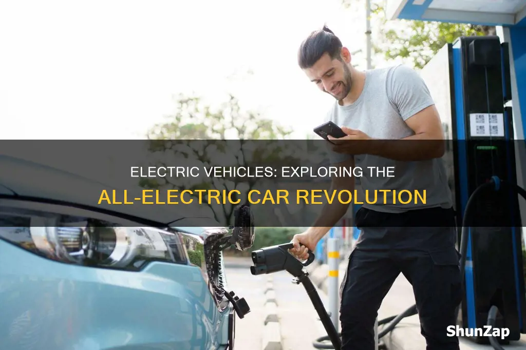 what are the all electric vehicles
