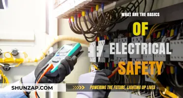 Electric Safety Basics: Saving Lives and Property