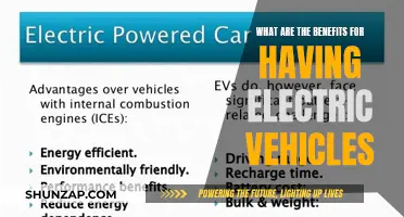 Electric Vehicles: Eco-Friendly, Cost-Effective, and the Future of Driving