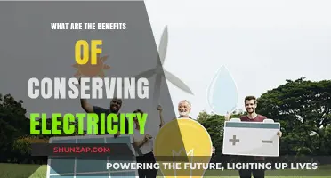 Electricity Conservation: Benefits for Your Wallet and the Planet