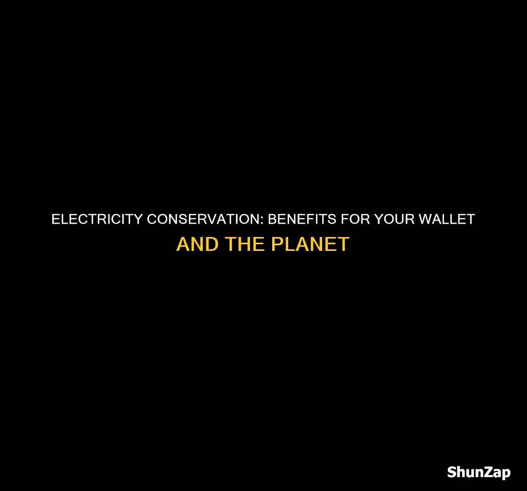 what are the benefits of conserving electricity