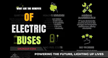 Electric Buses: Greener, Quieter, and More Efficient