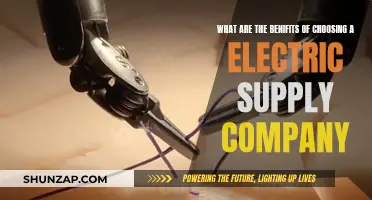 Electric Supply Companies: Benefits of Choosing Green Energy