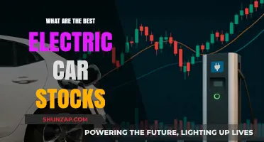 Top Electric Car Stocks to Invest in for Maximum Returns