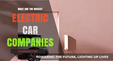 Leading Electric Car Manufacturers: Top Companies Shaping the EV Industry