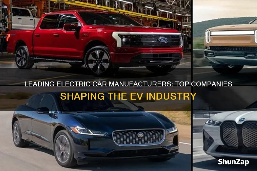 what are the biggest electric car companies
