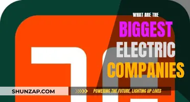 Electric Giants: Powering the World's Top Electric Companies