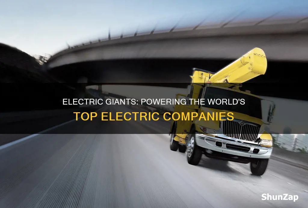 what are the biggest electric companies