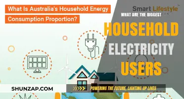 Electricity-Draining Household Appliances: Who's the Culprit?