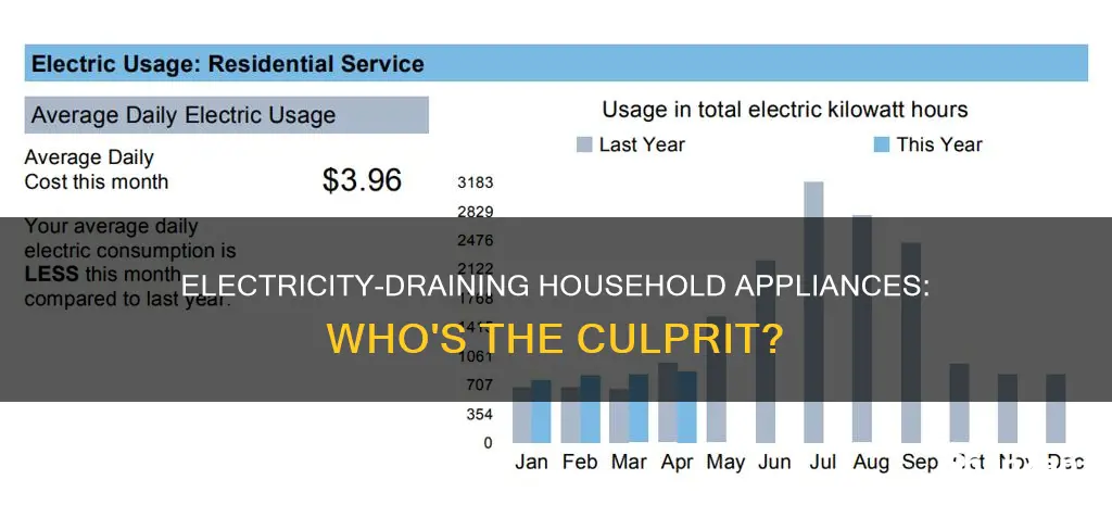 what are the biggest household electricity users